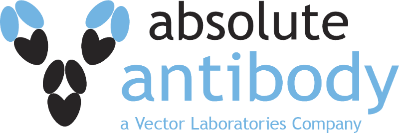 Absolute Antibody