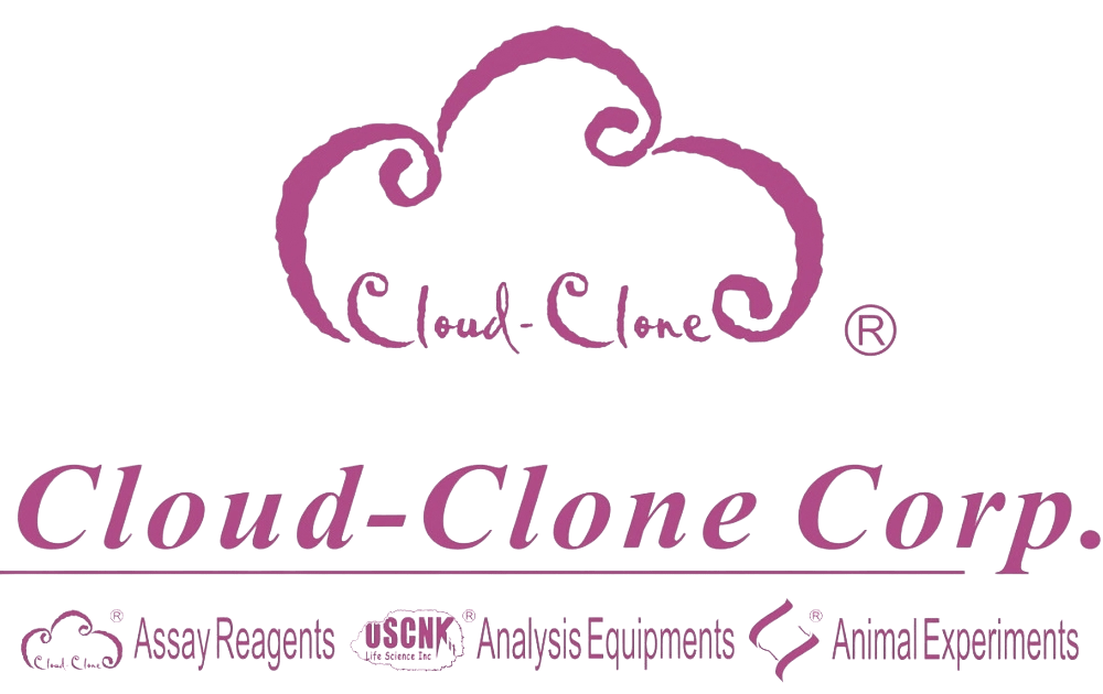 Cloud-Clone Corp